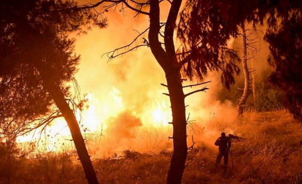 Горски пожар избухна снощи в гориста местност югозападно от Берлин