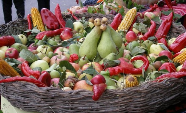  418 тона плодове и зеленчуци не са допуснати през ГКПП „Капитан Андреево“ в Република България и ЕС от 20 май досега