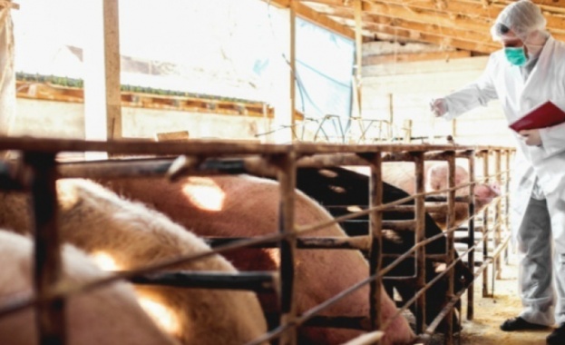 Кметовете от Пловдивска област заедно с Д р Михаил Кръстев от