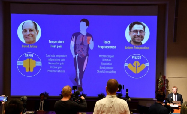 Американецът Дейвид Джулиъс и ливанецът Ардем Патапутян спечелиха Нобеловата награда