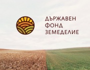 От 1 юли стопаните с напълно и частично унищожена реколта от градушката в Садово кандидатстват за подпомагане
