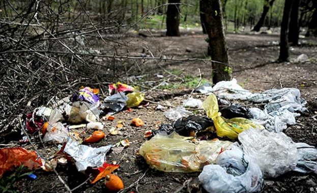 Всяко шесто дете на възраст до 6 години в България