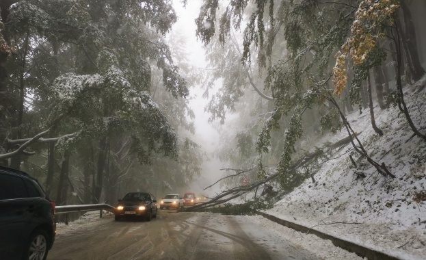 Лавина падна върху бус на прохода Петрохан Няма пострадали хора