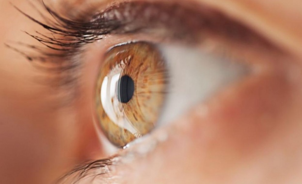 Днес е Световният ден на зрението