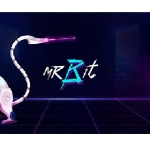 Кои са Mr Bit и какво могат да предложат?