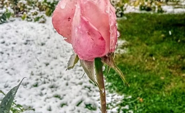  Предстоящи събития в страната на 1 декември