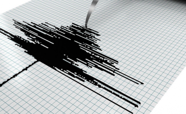 Земетресение с магнитуд 4,6 по Рихтер е регистрирано в Западна