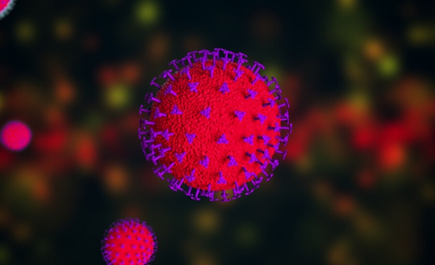 2569 са новите случаи на коронавирус