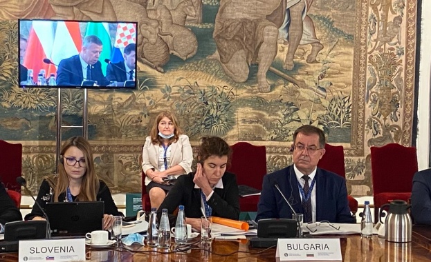 България има потенциал за разрастване производството на растителен протеин като