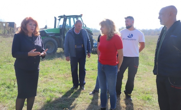 Убиват ни бюрокрацията административният рекет нелоялната конкуренция липсата на работна