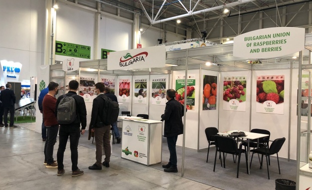 Изложенията в Румъния започнаха силно след принудителното им затваряне през