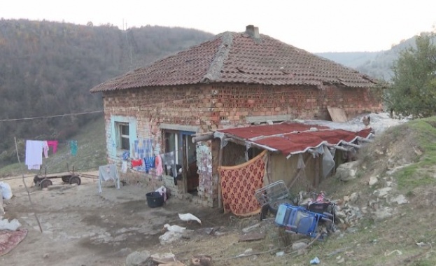 Цял квартал в Мездра се оплаква от постоянни набези на