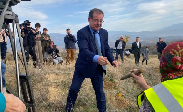 Над 19 000 дка ще бъдат залесени от Държавните горски