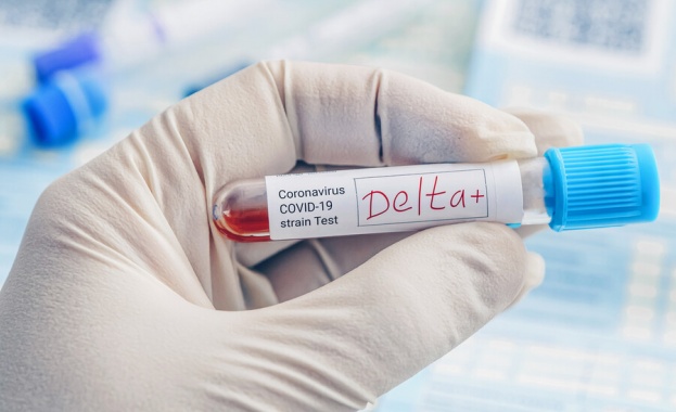 Нови 17 случая на Делта плюс варианта AY 4 2 на COVID 19