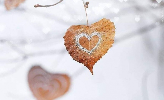 Днес над страната ще преобладава облачно време Още преди обяд