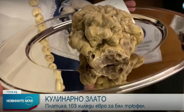 Бял трюфел беше продаден за 103 хиляди евро на търг