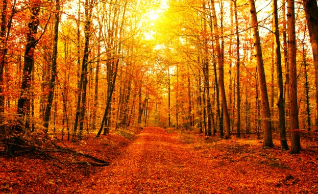 Днес от запад облачността ще се разкъсва и намалява най късно