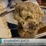 Продадоха трюфел за 103 хил. евро