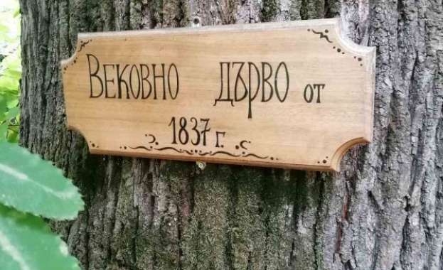 Министърът на околната среда и водите Асен Личев обяви статут