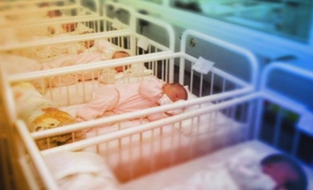 13 са новородените бебета до тази сутрин в столичната болница