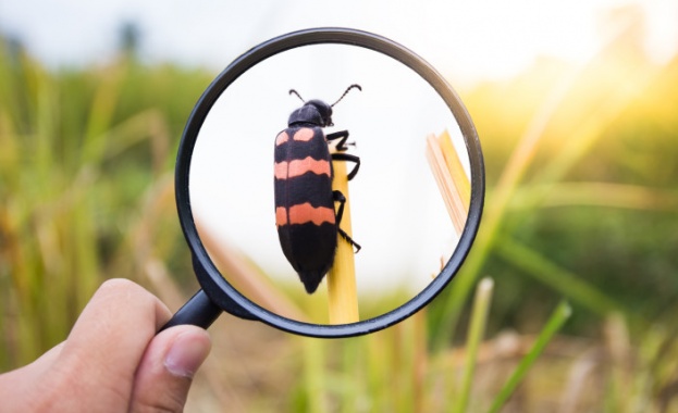 Министърът на околната среда и водите Асен Личев уведоми с