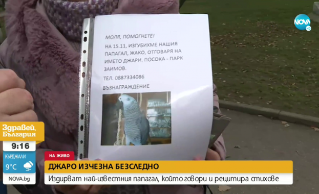 Изчезна популярният папагал Джаро който говори свири имитира животни и