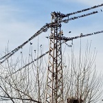 Енергийни експерти:  Възможно е цената на тока за бита да не бъде увеличена