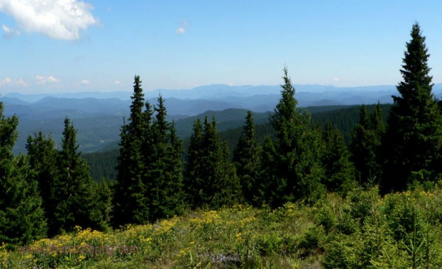 Министърът на околната среда и водите Асен Личев подписа заповеди