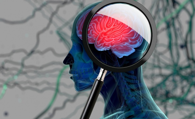 Френски неврофизиолози са установили, че продължителната умствена дейност води до