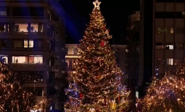 19 метрова Коледна елха краси централния площад в Атина Дървото донесено