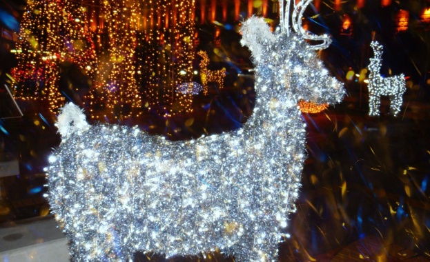 От 1 декември 2021 г до 15 януари 2022 г