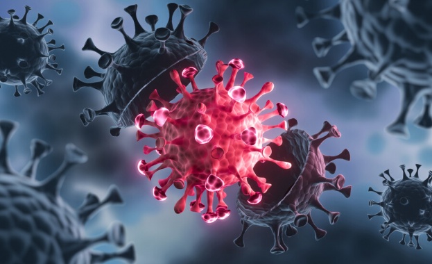 706 са новите случаи на коронавирус у нас при направени