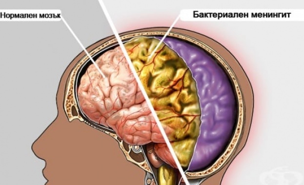 До 40 от населението у нас са здрави носители на