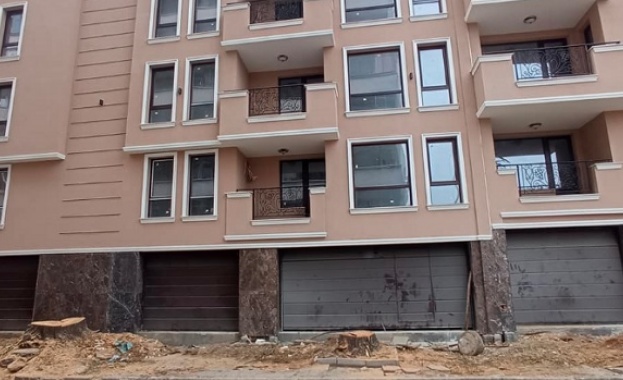 Кой и защо отряза дървета пред новопостроена сграда в Пловдив