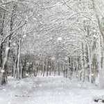 Предстоящи събития в страната на 18 декември 2021 г.