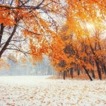 Предстоящи събития в страната на 23 февруари 2022 г.