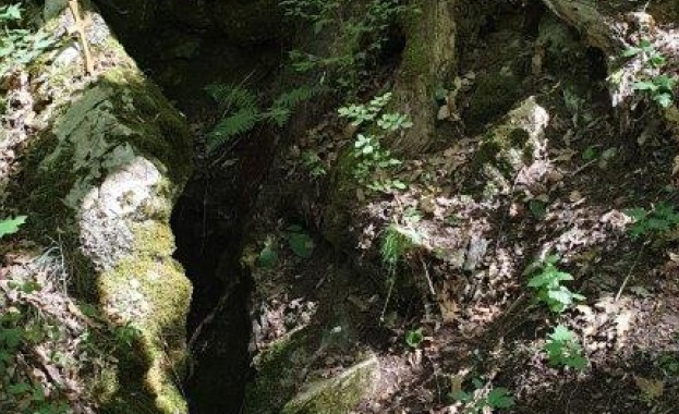 Нови пътеки за посетители се откриват в резерват „Средока“ в Странджа