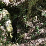 Нови пътеки за посетители се откриват в резерват „Средока“ в Странджа