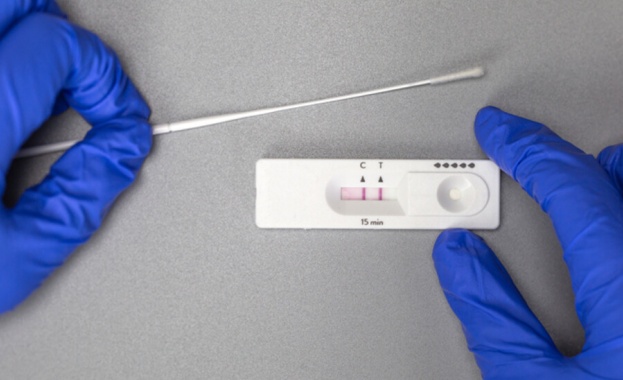 Белгийски изследователи предупредиха в навечерието на празниците да не се