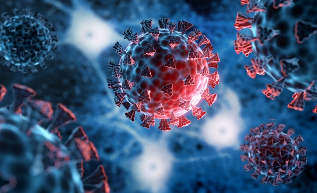 310 са новите случаи на коронавирус у нас за денонощието