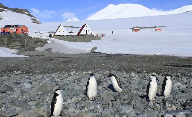 Антарктиците ни пристигнаха на о-в Ливингстън, полярният сезон е открит