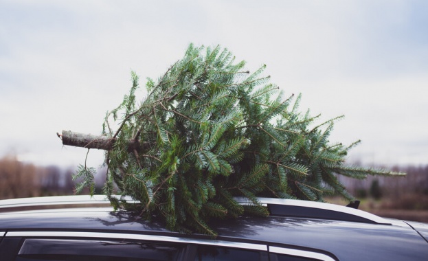 В зоопарка във Варна за поредна година се провежда кампанията