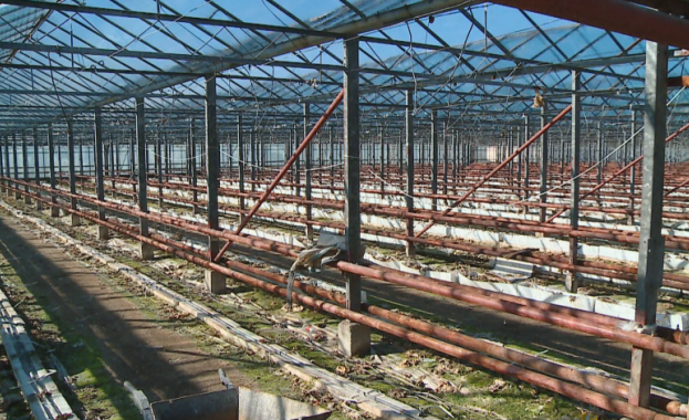 70 процента от оранжериите за производство на зеленчуци у нас