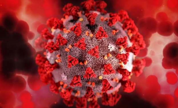 2433 са новите случаи с коронавирус.
Положителни са 12% от направените
