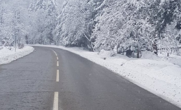 Зимата се завърна с пълна сила На прохода Петрохан снежната