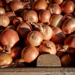 Здравословни ползи на лука, за които не знаете