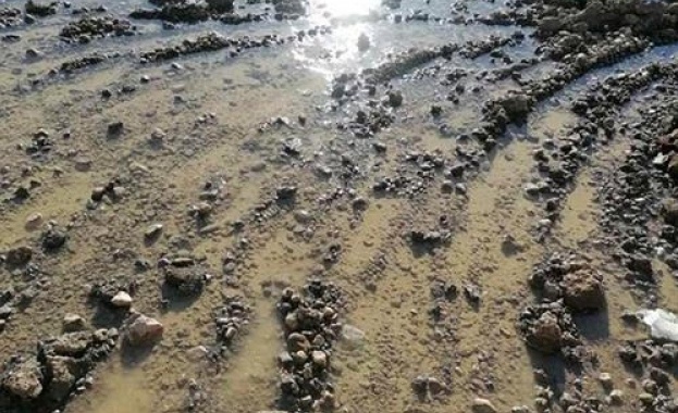 Съвместната операция е реализирана вчера в землището на с Александрово