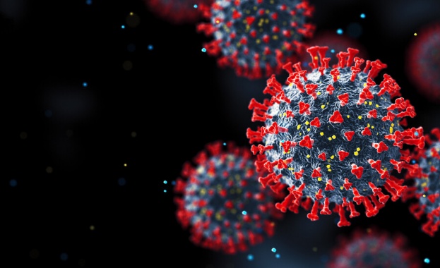 Вариантът Омикрон на новия коронавирус е по малко опасен от гледна