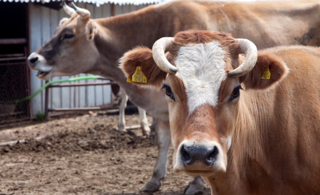 От 17 февруари до 11 март 2022 г се отваря