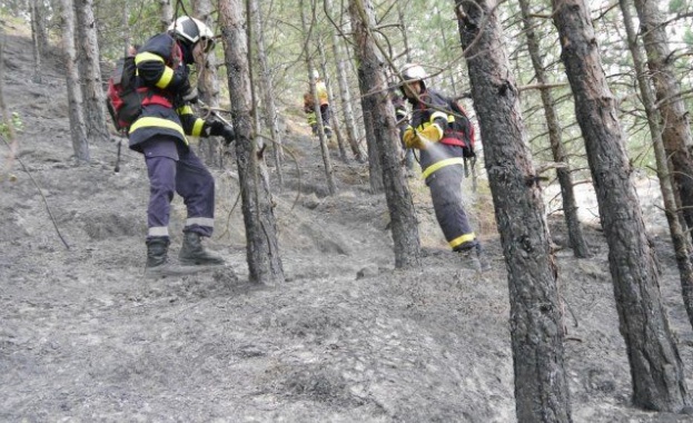 Граждани с 278 сигнала до горските от Североизтока